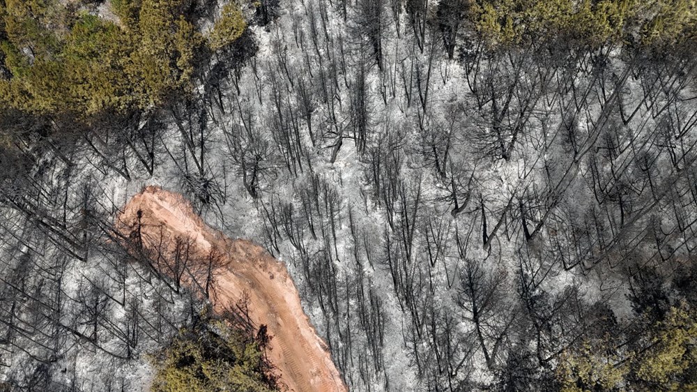Tam 54 saat sürdü! Karabük'te yanan alanlar havadan görüntülendi - 5