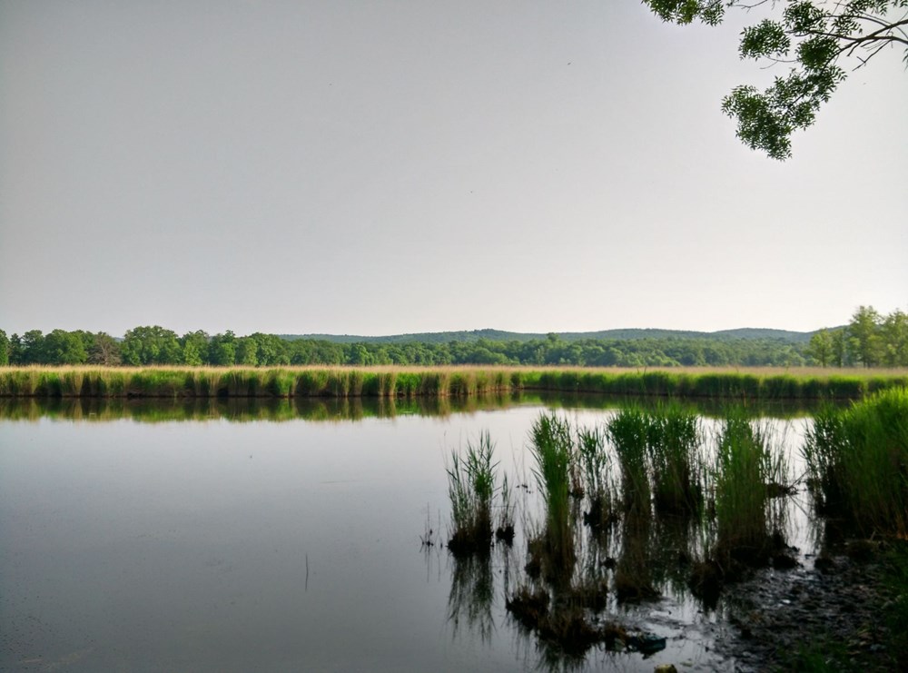 İstanbul çevresindeki en iyi kamp alanları - 42