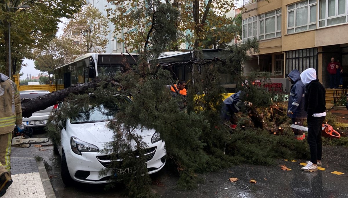 Maltepe'de ağacın otomobilin üzerine düştüğü anlar kamerada