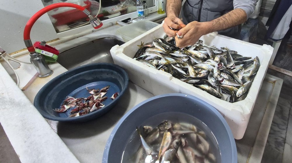 Marmara Denizi'nde müsilaj: Balık etine ziyan veriyor mu? 72 PtzKOj9T3UikH36Qo1BNMw