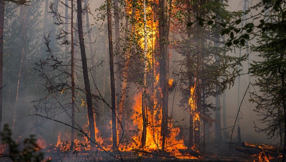 Küresel ısınma gezegenimizi yok ediyor: Rusya tarihindeki en kötü orman yangını mevsimi yaşandı