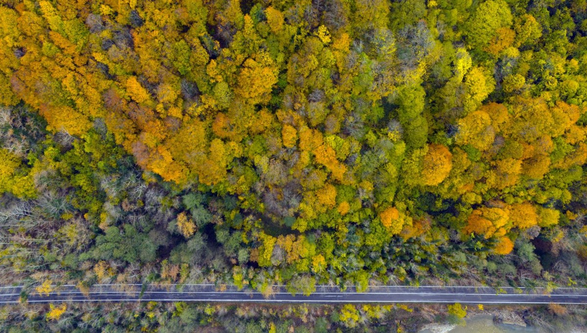 Safranbolu ve Amasra arasında köprü: 