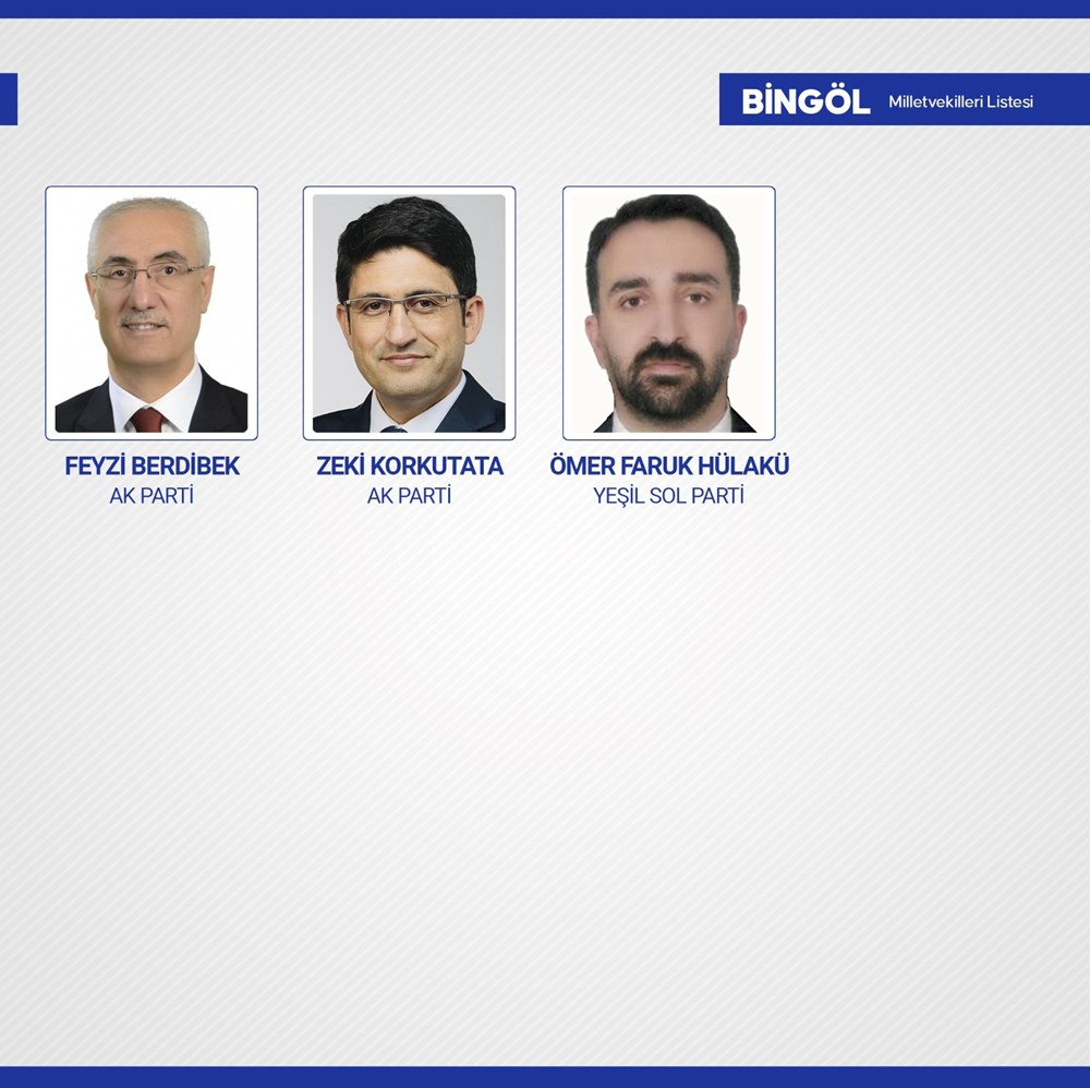 Yeni dönemde TBMM'de yer alacak milletvekilleri belli oldu - 19