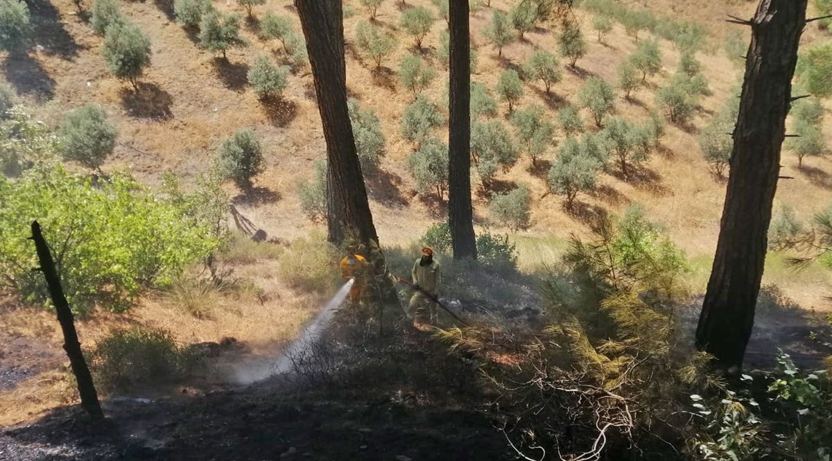 Kahramanmaraş, Denizli ve İzmir’de orman yangını: Foça'da lojman tahliye edildi