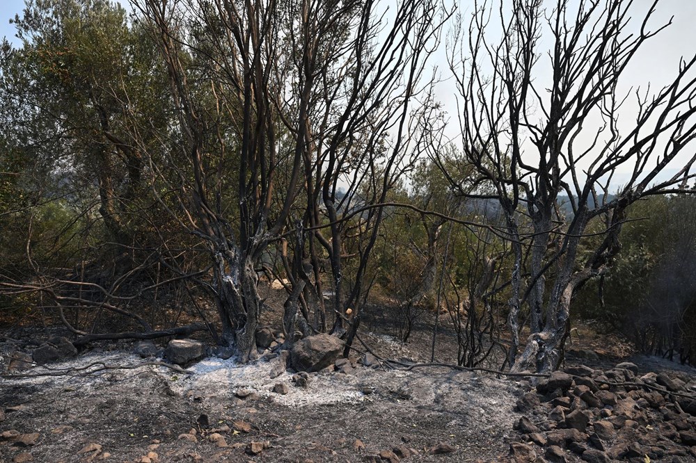 Çanakkale'de orman yangını (Alevlerle mücadelede son durum) - 12