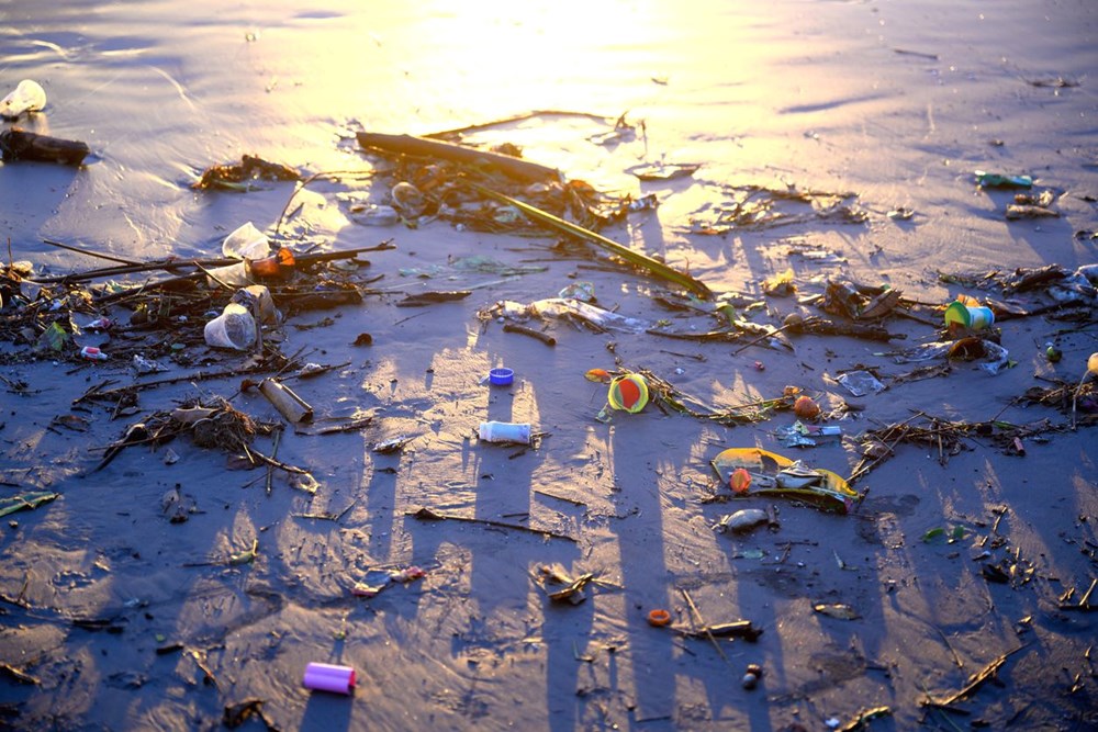 Dünya'nın geleceği tehlikede: Mikroplastikler nehirler aracılığı ile Arktik'e taşınıyor - 7