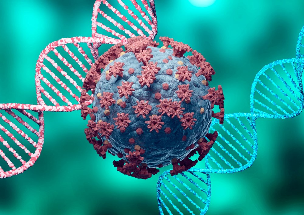 T hücrelerini hedefleyen ilk corona virüs aşısının sonuçları paylaşıldı: BioNTech/Pfizer'den 3,5 kat daha etkili - 6