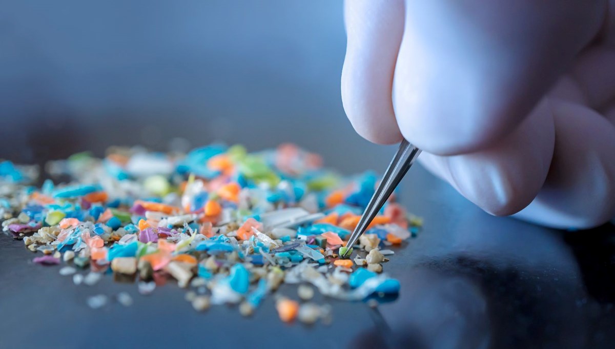 Bilim insanları beyinde mikroplastik buldu Bilim insanları beyinde mikroplastik buldu