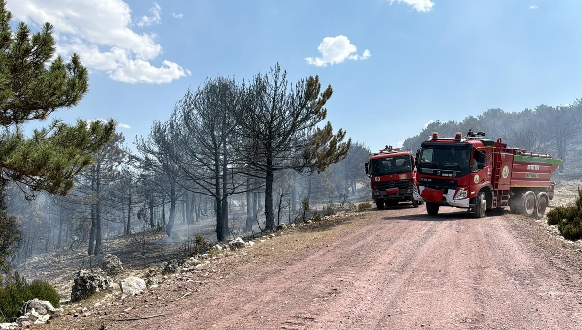 Kütahya'da orman yangını