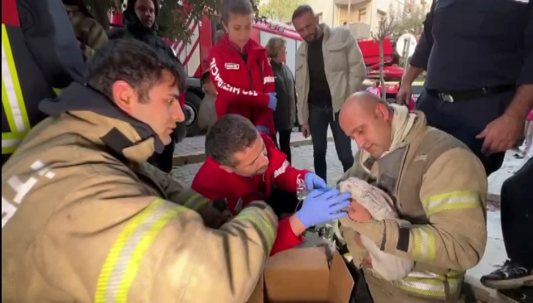 Avcılar'da çıkan yangında mahsur kalan tavşanı itfaiye ekipleri kurtardı