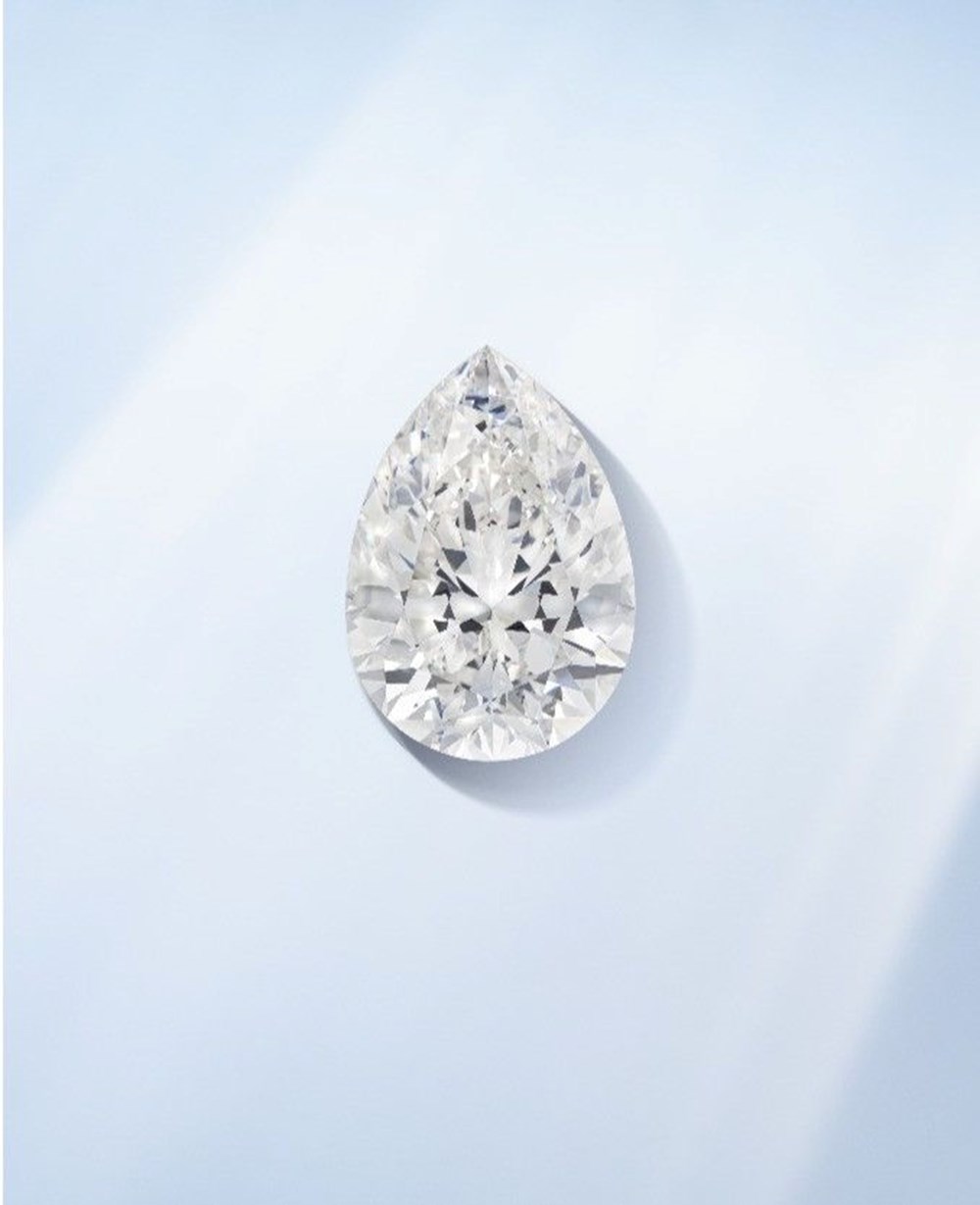 Dünyanın en büyük beyaz elması 287 milyon TL'ye satıldı - 8