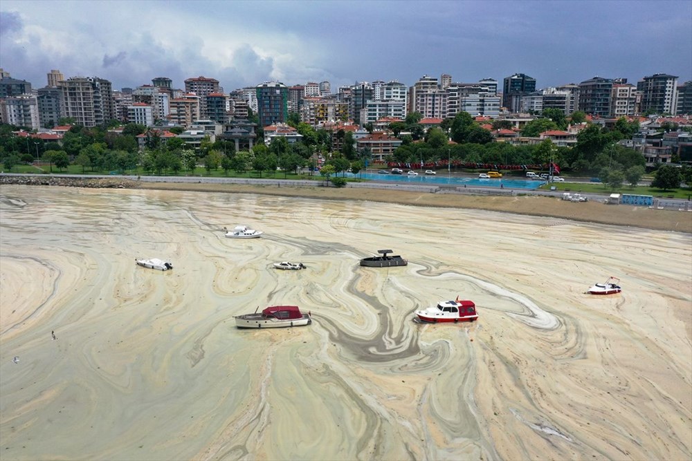 Caddebostan Sahili'ndeki müsilaj temizlendi - 11