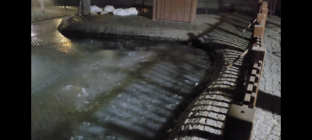 Ankara'da termometreler -9 dereceyi gösterdi: Kuğulu Park'ın havuzları dondu - 3