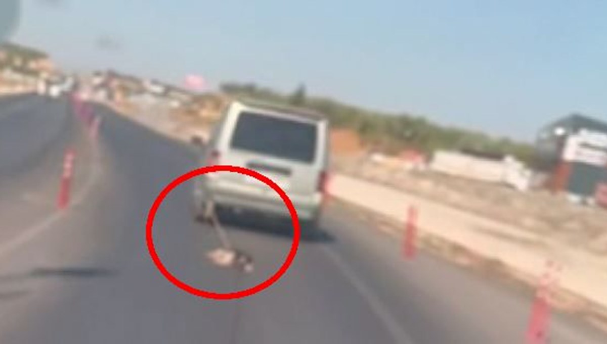 Köpeği araca bağlayıp sürükledi Köpeği araca bağlayıp sürükledi