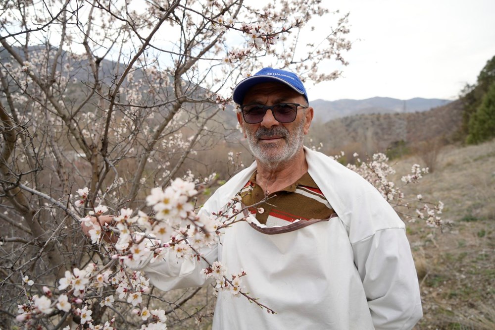 Badem Ağaçlarının Zamansız Dansı: Yalancı Baharın Çiçek Açan Tuzağı 74 Q21a2TT4ZkGEHc1Cg6aueQ