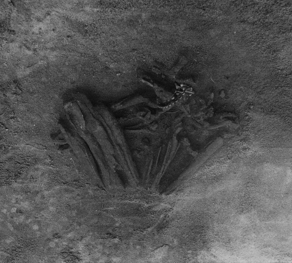 Kayıp fotoğraflar tarihi değiştirdi: En eski mumyalama işlemi 8 bin yıl önce Portekiz'de yapıldı - 8