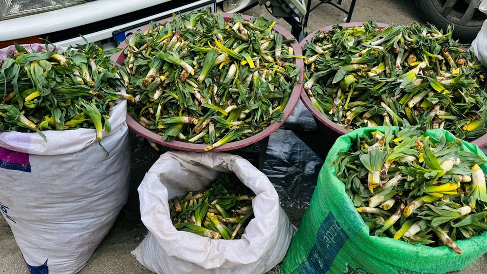 Nature's Shield Arrives: The Vitamin C Powerhouse Hitting Market Stalls 75