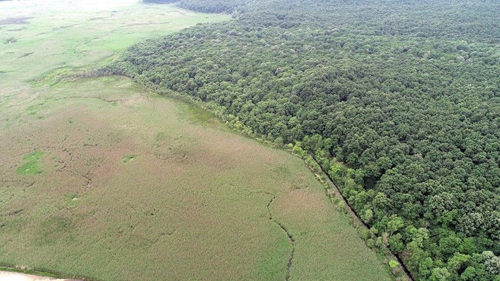 İstanbul çevresindeki en iyi kamp alanları - 37