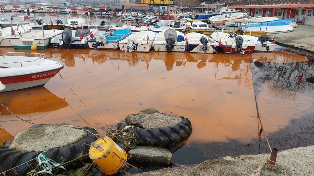 Marmara'da korkutan görüntüler: Rengi değişiyor, denizanası istilası yayılıyor - 6