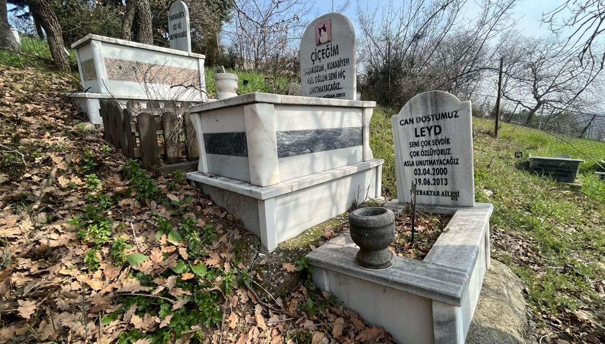 Evcil hayvanlara özel mezar yeri! Papağan da gömüldü, kuş da... Evcil hayvanlara özel mezar yeri! Papağan da gömüldü, kuş da...
