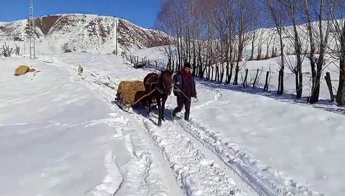 Her gün 1 buçuk kilometre boyunca taşıyorlar: Yoğun kar yağışı nedeniyle zorluk yaşanıyor