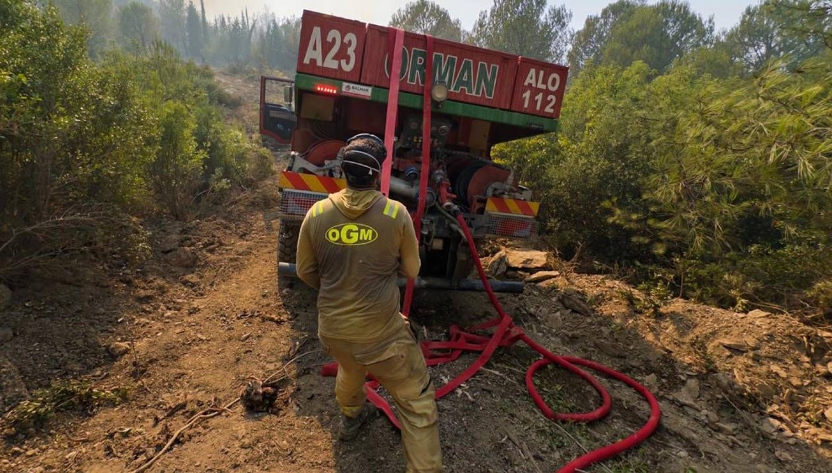 OGM acı tabloyu açıkladı