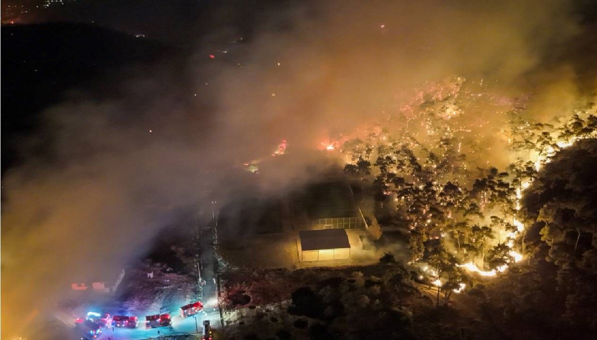 İzmir'de yangın ormana sıçradı
