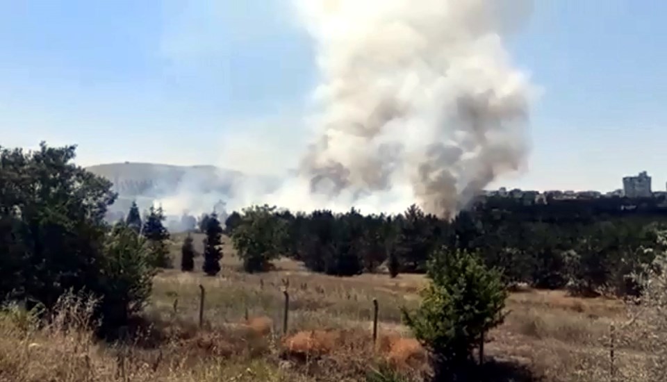 Ankara'da, Atatürk Orman Çiftliği arazisinde yangın - 1