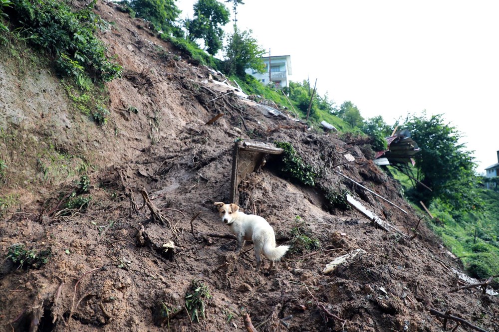 Rize’de sel ve heyelan afetinin hasarı gün ağarınca ortaya çıktı - 36