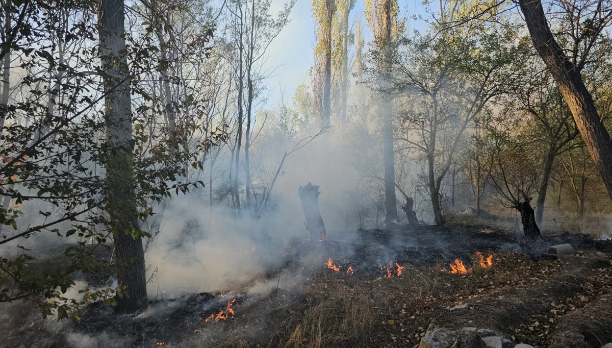 Çorum'da ağaçlık alanda yangın