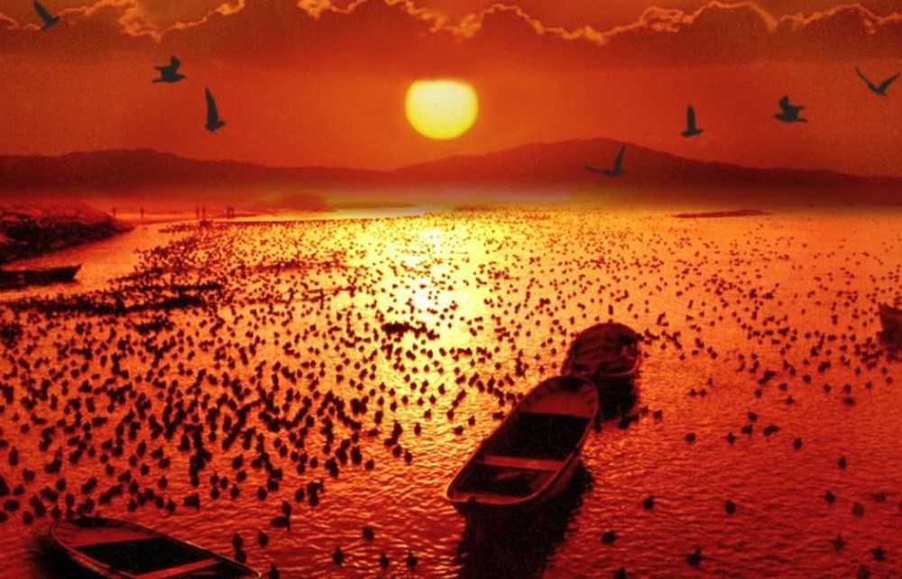 Türkiye'nin Milli Parkları (Türkiye'deki milli parkların listesi ve isimleri) - 42