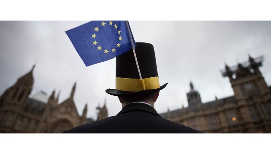 AP milletvekillerinden İngilizlere "Brexit’ten vazgeçin" çağrısı