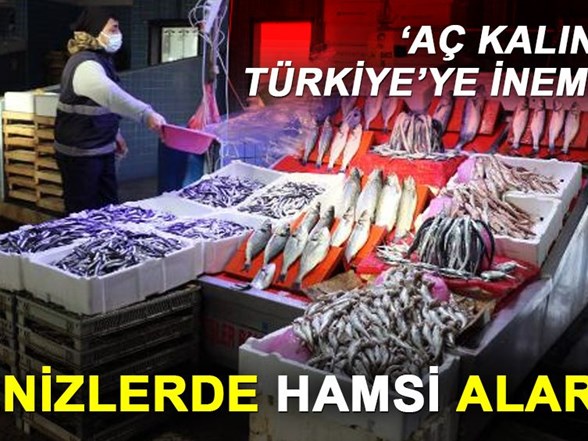 denizlerde hamsi alarmi ac kalinca turkiye ye inemedi ntv