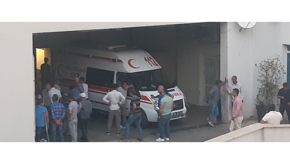 Yılanın soktuğu kadın hayatını kaybetti