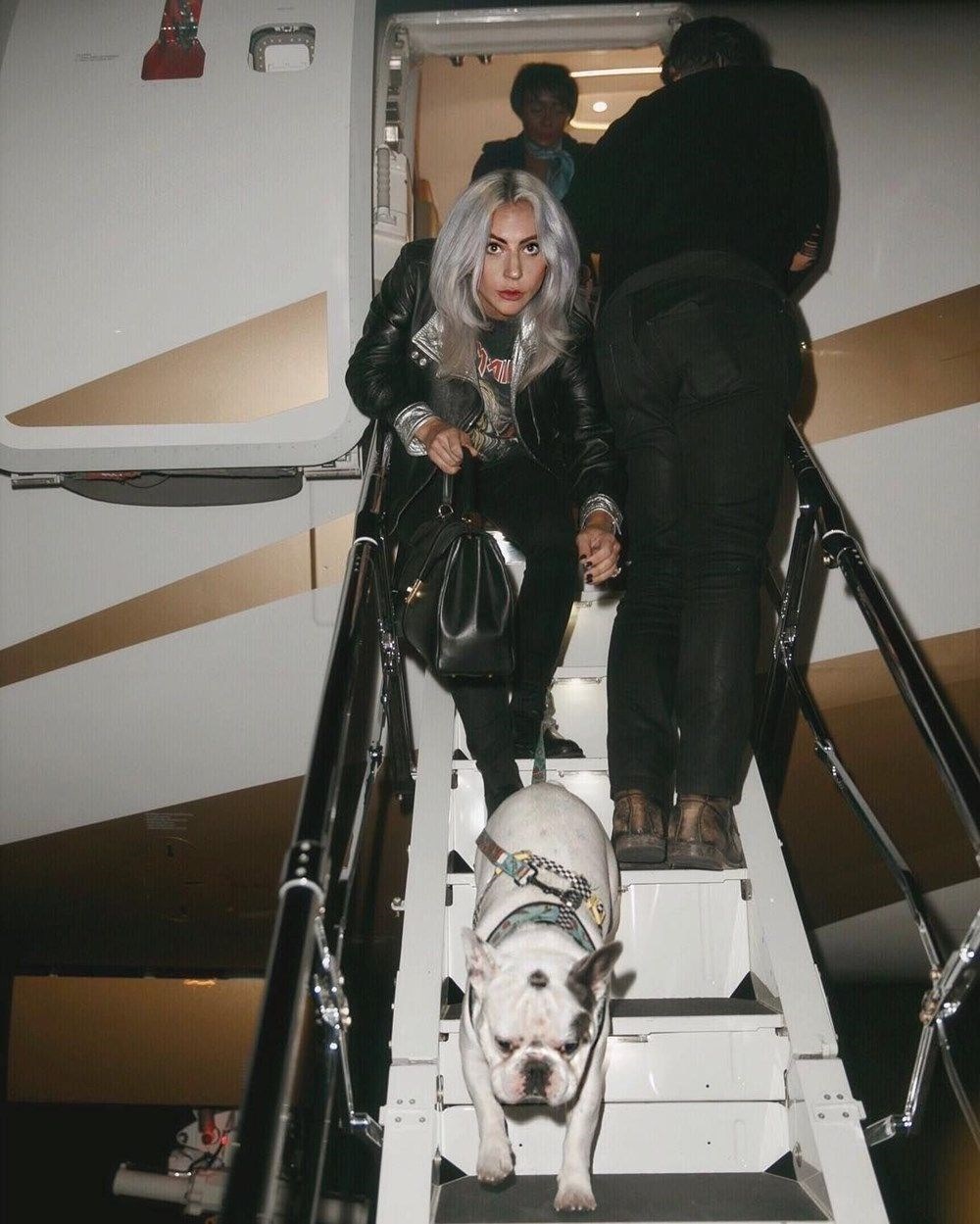 Lady Gaga’nın köpeklerini teslim eden kadın tutuklandı - 4