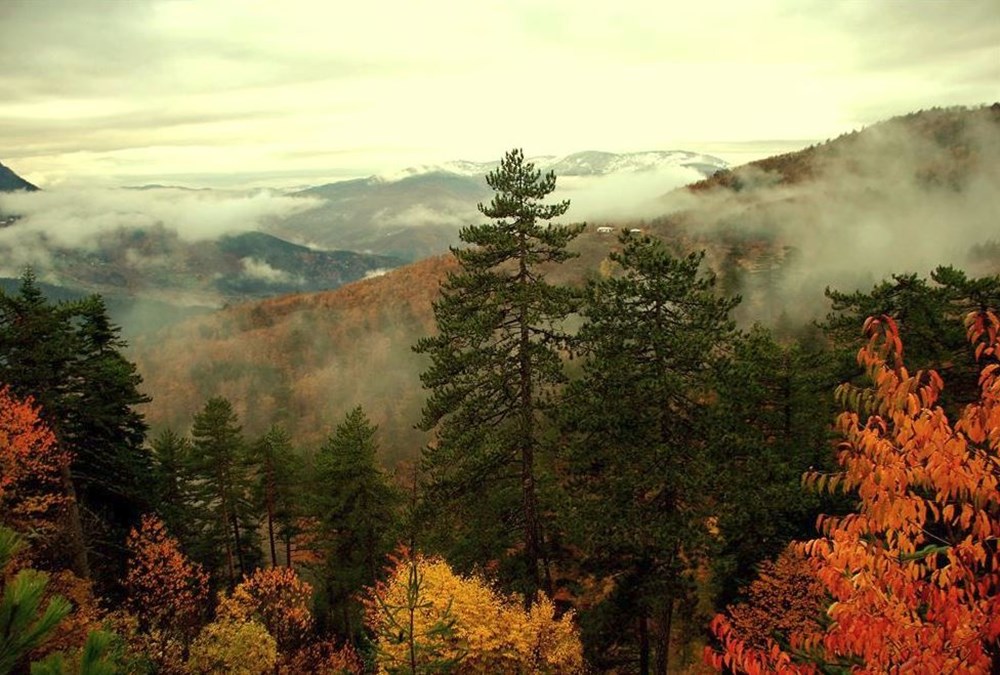 Türkiye'nin Milli Parkları (Türkiye'deki milli parkların listesi ve isimleri) - 88