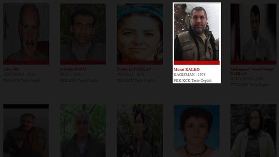 SON DAKİKA HABERİ: PKK'nın sözde Hakurk sorumlusu etkisiz hale getirildi - 1