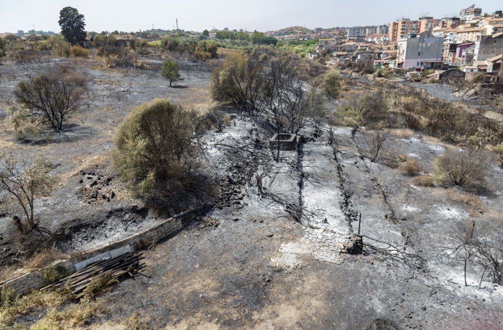 Akdeniz alev aldı: Yunanistan ve İtalya’da orman yangınları sürüyor - 11