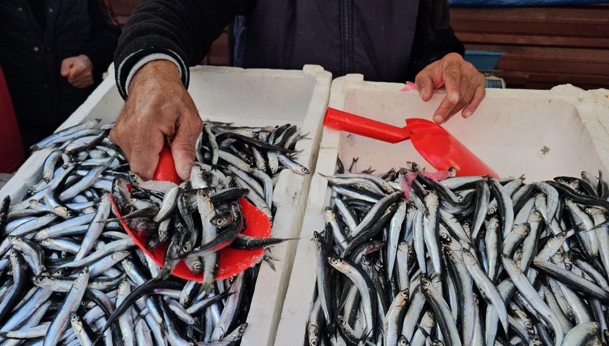 Bolluk sürüyor, tezgahta 75 liradan yerini aldı: 