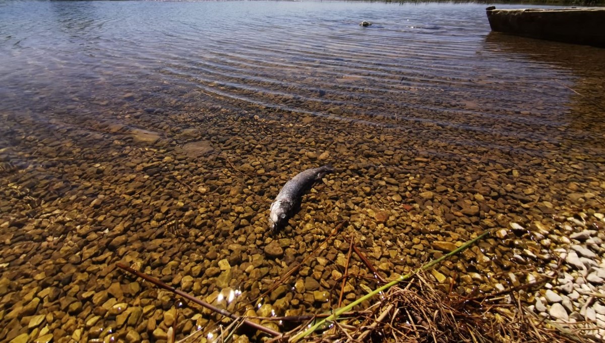 Büyük Menderes Nehri'nde kuraklık tehlikesi