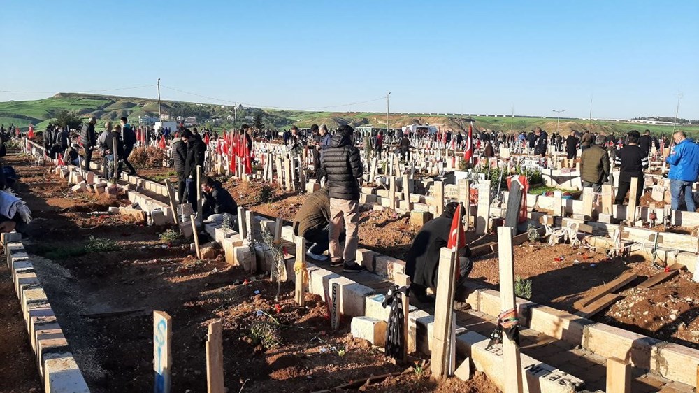 Турецкое кладбище: пляж и котики: olgasingularia - ЖЖ