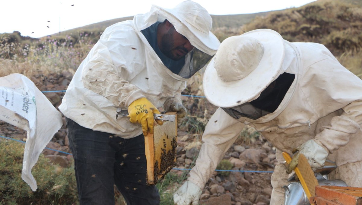 Temeke Yaylası'nın eteklerinde sağım başladı: Coğrafi işaret alan ilk ürün