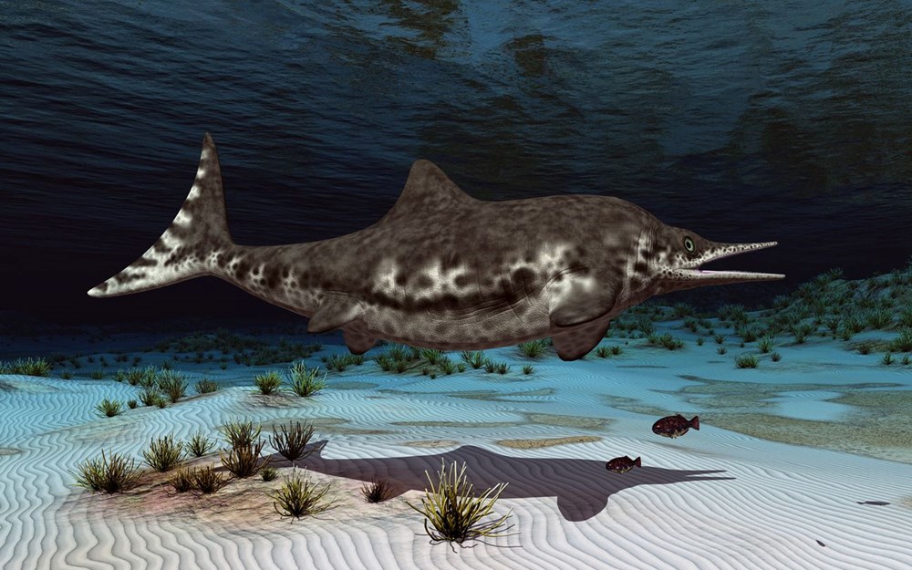 Şili'de 130 milyon yıllık hamile deniz ejderhası fosili bulundu - 5