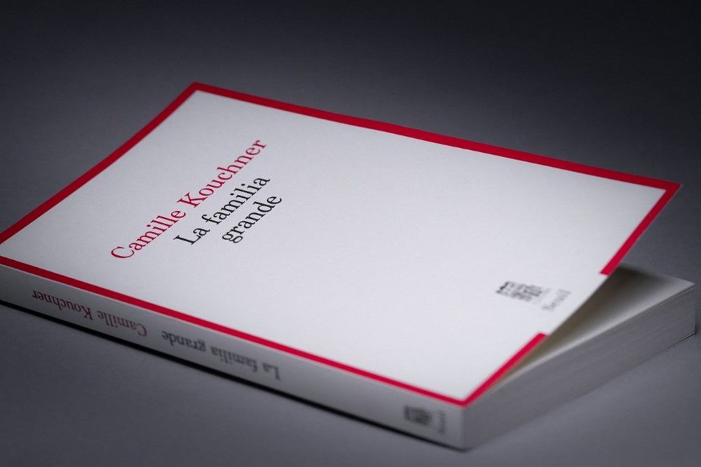 Fransa'yı karıştıran kitap: Tartışmalara Macron da katıldı - 3