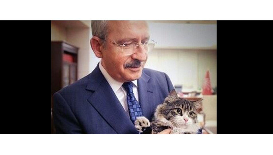 'En sosyal demokrat kedi'