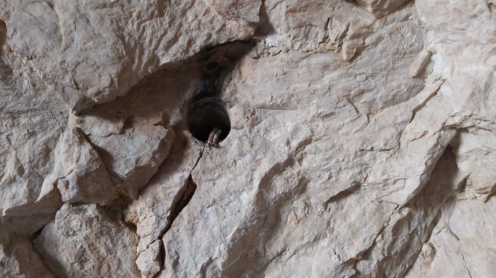 Roma dönemine ait oda mezar definecilerin hedefi oldu - 8