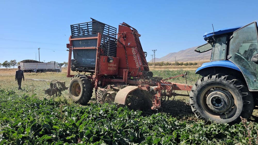 En önemli geçim kaynaklarından biri: Sabah saatlerinde sökümü başladı - 1