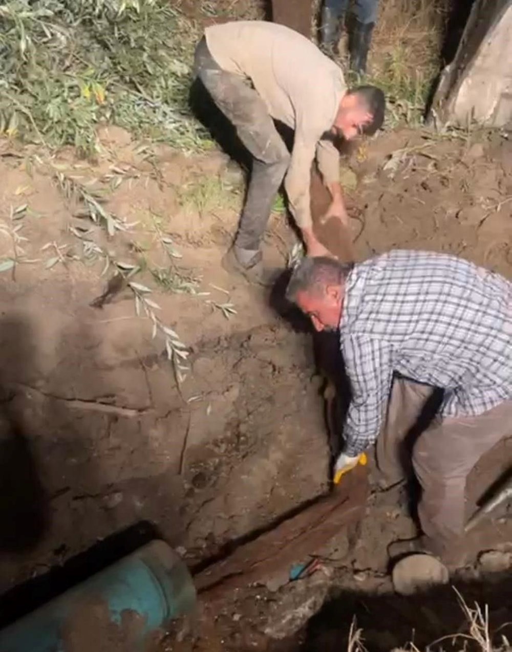 Su borusundan 15 metre ağaç kökü çıktı - 6