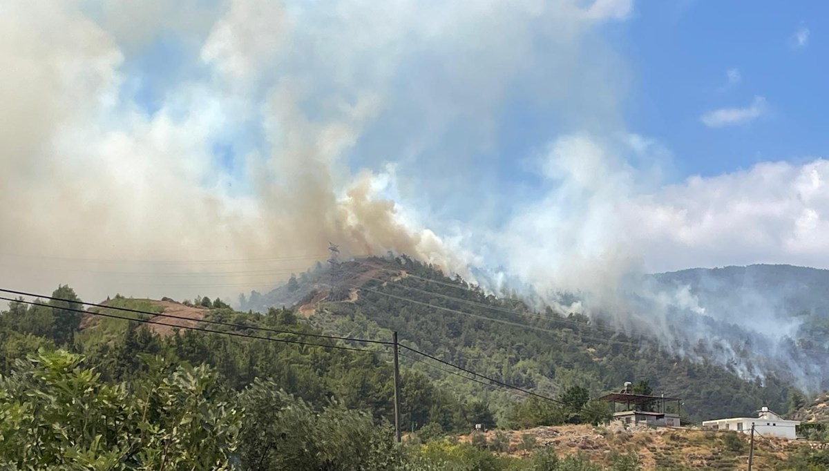 Hatay ve Balıkesir'deki orman yangınları kontrol altında