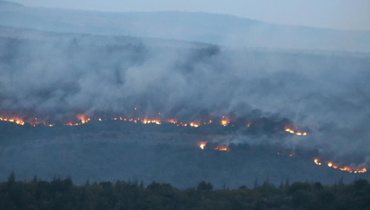 Bulgaristan'da orman yangını: Edirne'nin sınır köylerine dayandı